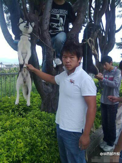 �W(w��ng)������Ű������Ƭ���ؑ�(y��ng)�Q�P(gu��n)��ƨ����