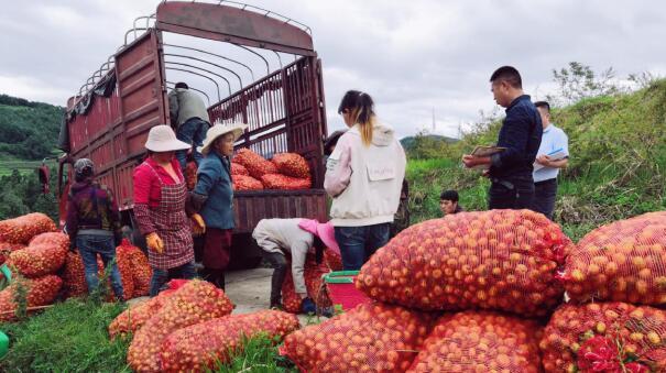 �P����֧��950�fԪ���a(ch��n)�I(y��)�����^��I(y��)�����Y���J������r(n��ng)������