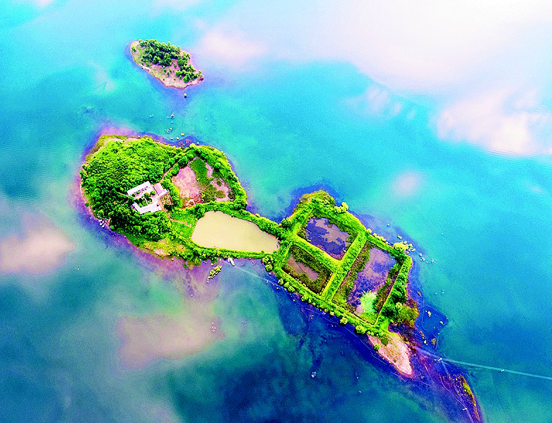   �B�Ձ����G�T�ĺ��{����ϴ�������Ƶ�ӳ���ĺӵı�ˮ֮�g���q�����֮������������׌�����B������