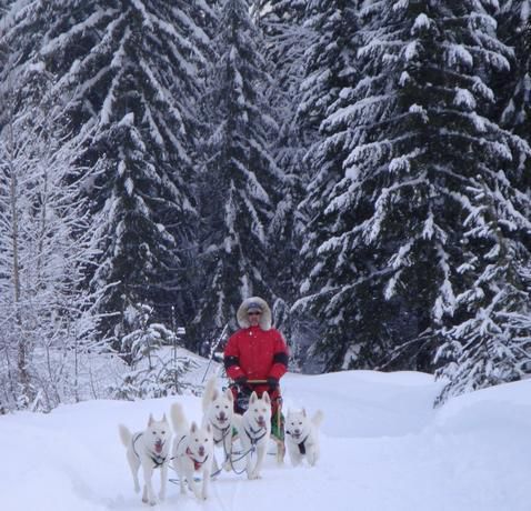 7��(g��)�ط������w�(y��n)�����ı�ѩ�澉