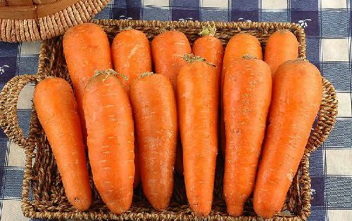 �X�׽�������������@15�N��Ȼʳ������a�X��