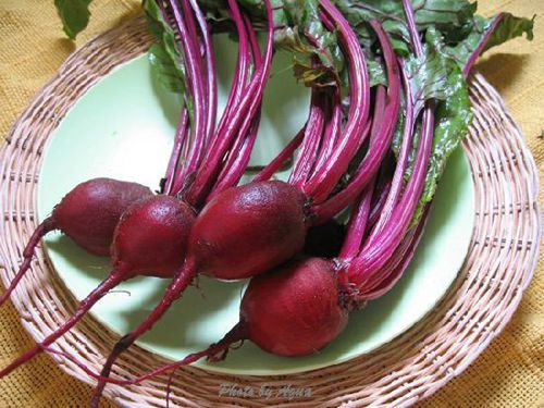 �X�׽�������������@15�N��Ȼʳ������a�X��