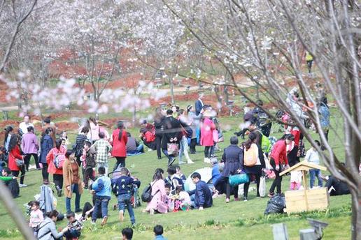 ���f�˴���̤���P�˜� ǧ�����԰��n���^(q��)}��