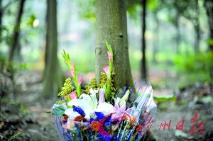 �V���������T����Ĺ���ǷǷ����Y ֻ��(hu��)Ѫ���o�w