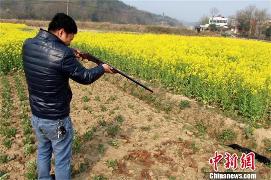 �����l(f��)��ҧ���������_(k��i)������������D��