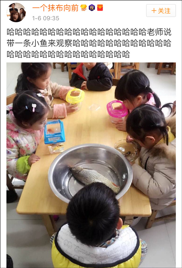 �DƬ������W(w��ng)�ѐ��㣺ˮ���~�����~Ƭ����������