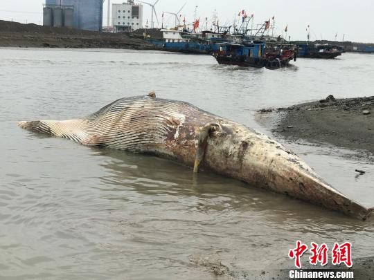 �Ϻ������L�~�����(bi��o)�������A(y��)Ӌ(j��)�ĕr(sh��)�����