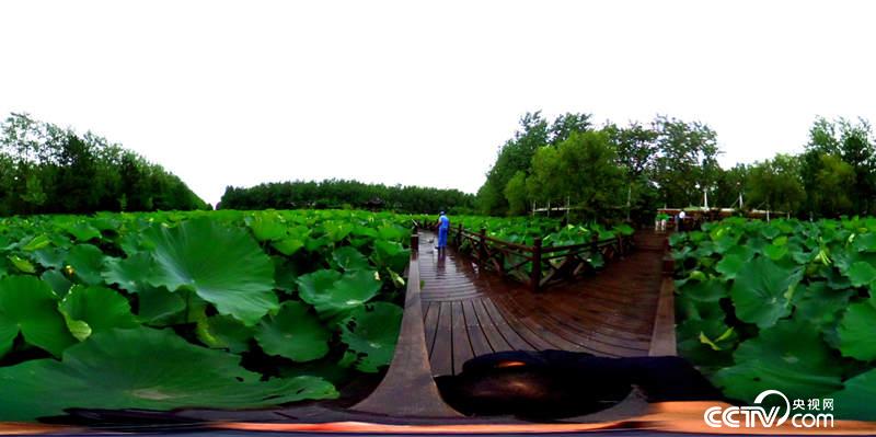 ���@һ��������ҕ�W(w��ng) ӛ�ߺδ��z��