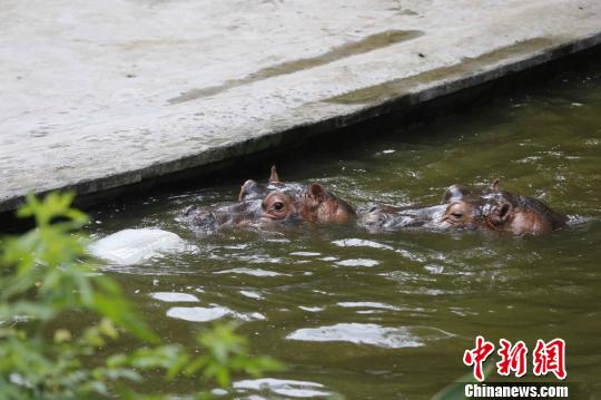 �����{�������ϡ������K�����ʽ�������