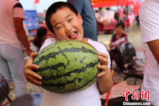 ζ������������������ҫ�� �z