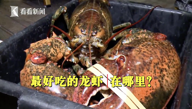 ��Ļ���� 2018-11-01 14.54.27.png