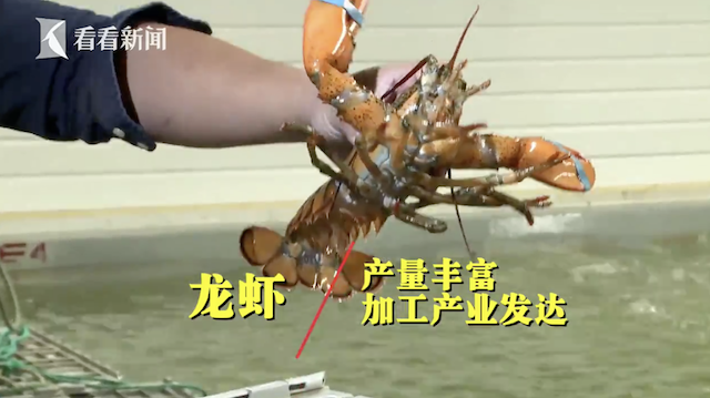 ��Ļ���� 2018-11-01 14.56.20.png