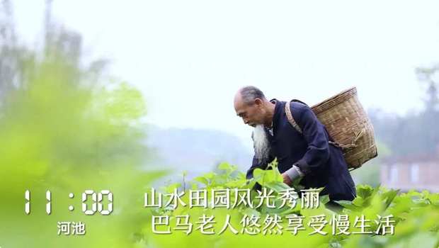 һ��24С�r(sh��)���V���ڰl(f��)��ʲô